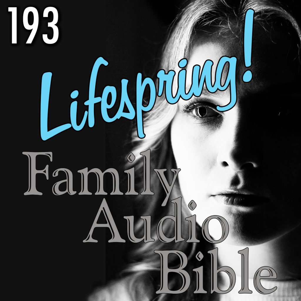 LSFAB_Art_193