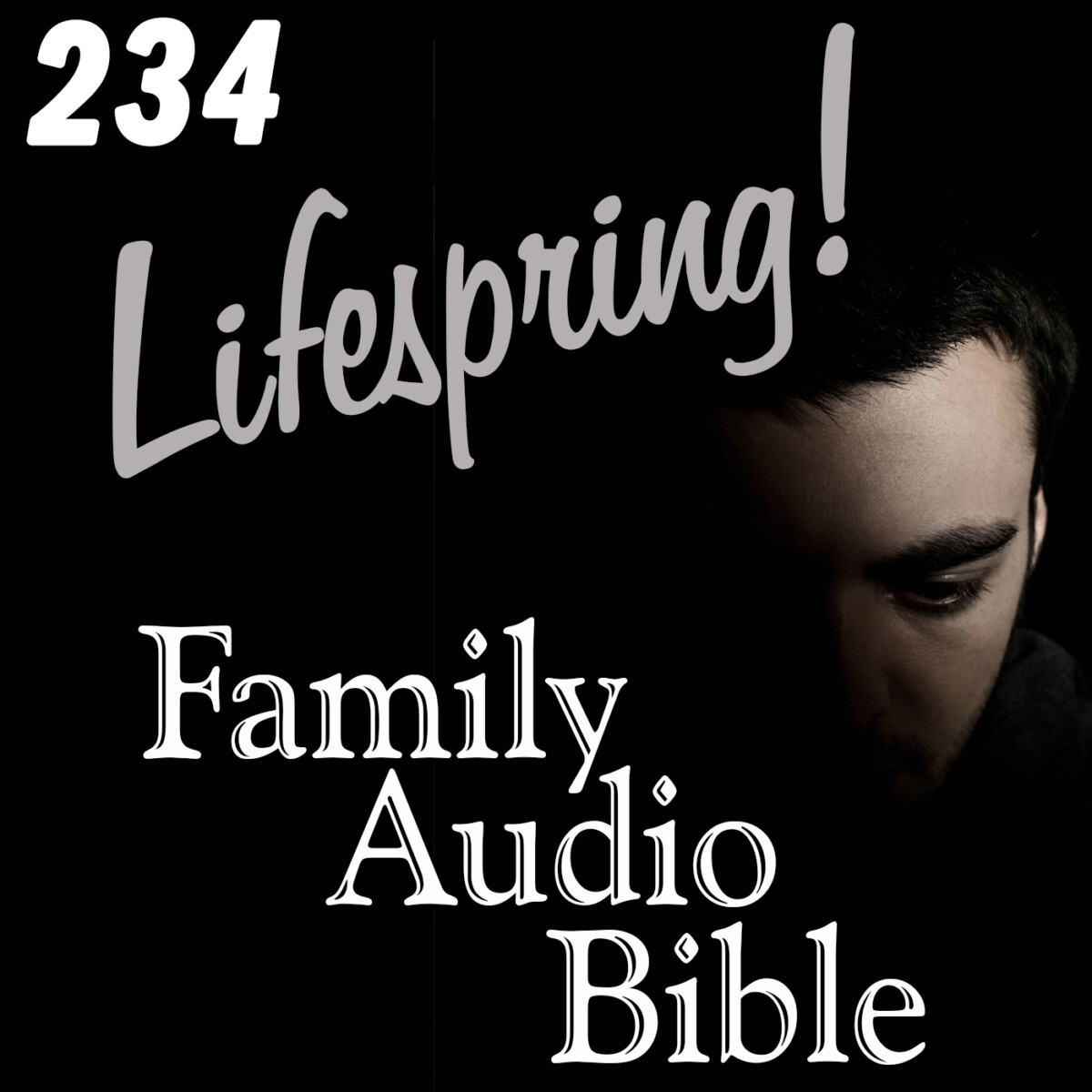LSFAB_Art_234