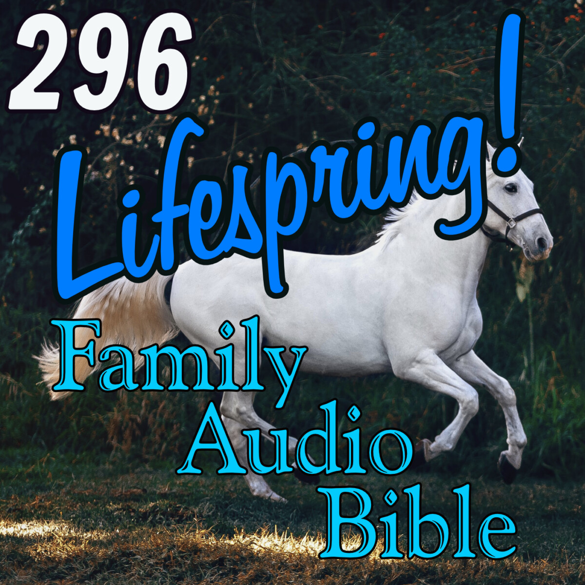 LSFAB_Art_296