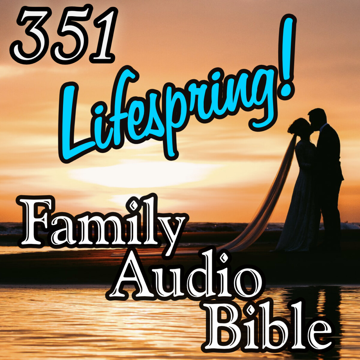 LSFAB_Art_351