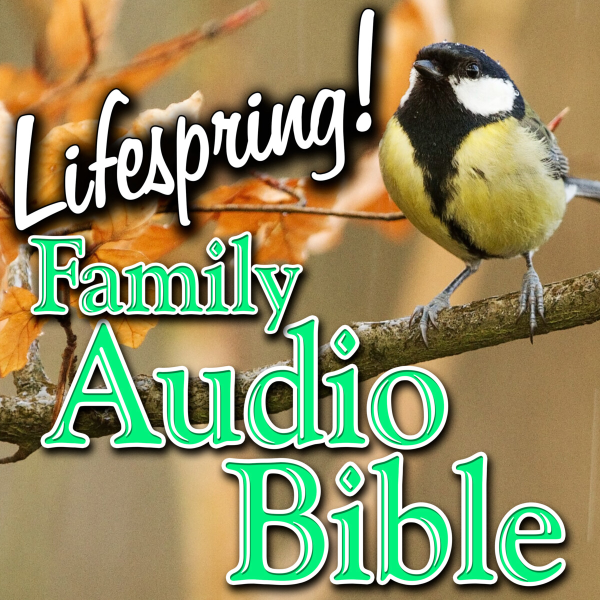 S12E023Art3000-Fear Not