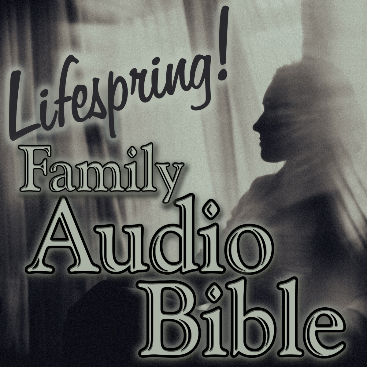 S12E024Art3000-Bildad the Accuser