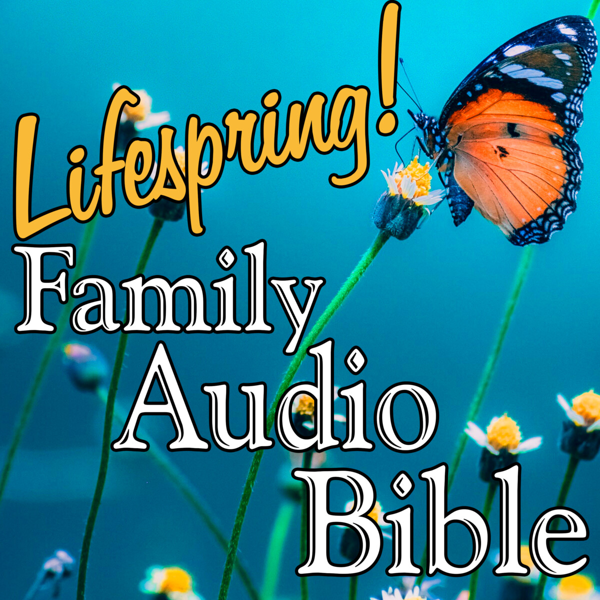 S12E118Art3000-Enough Is Enough