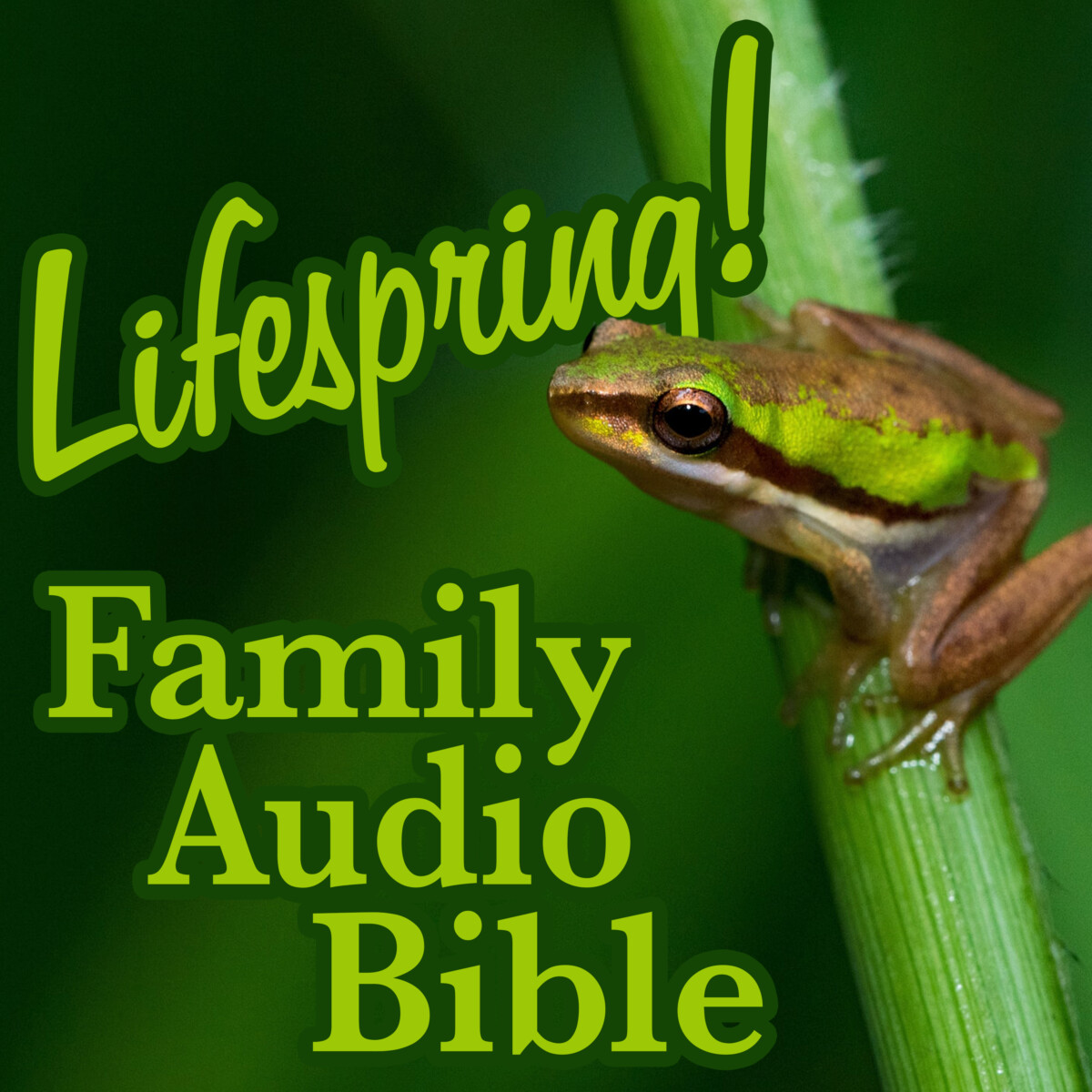 S12E105Art3000-I Got Gnats