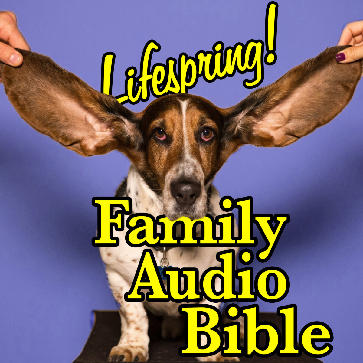 S12E130Art3000-dog with big ears