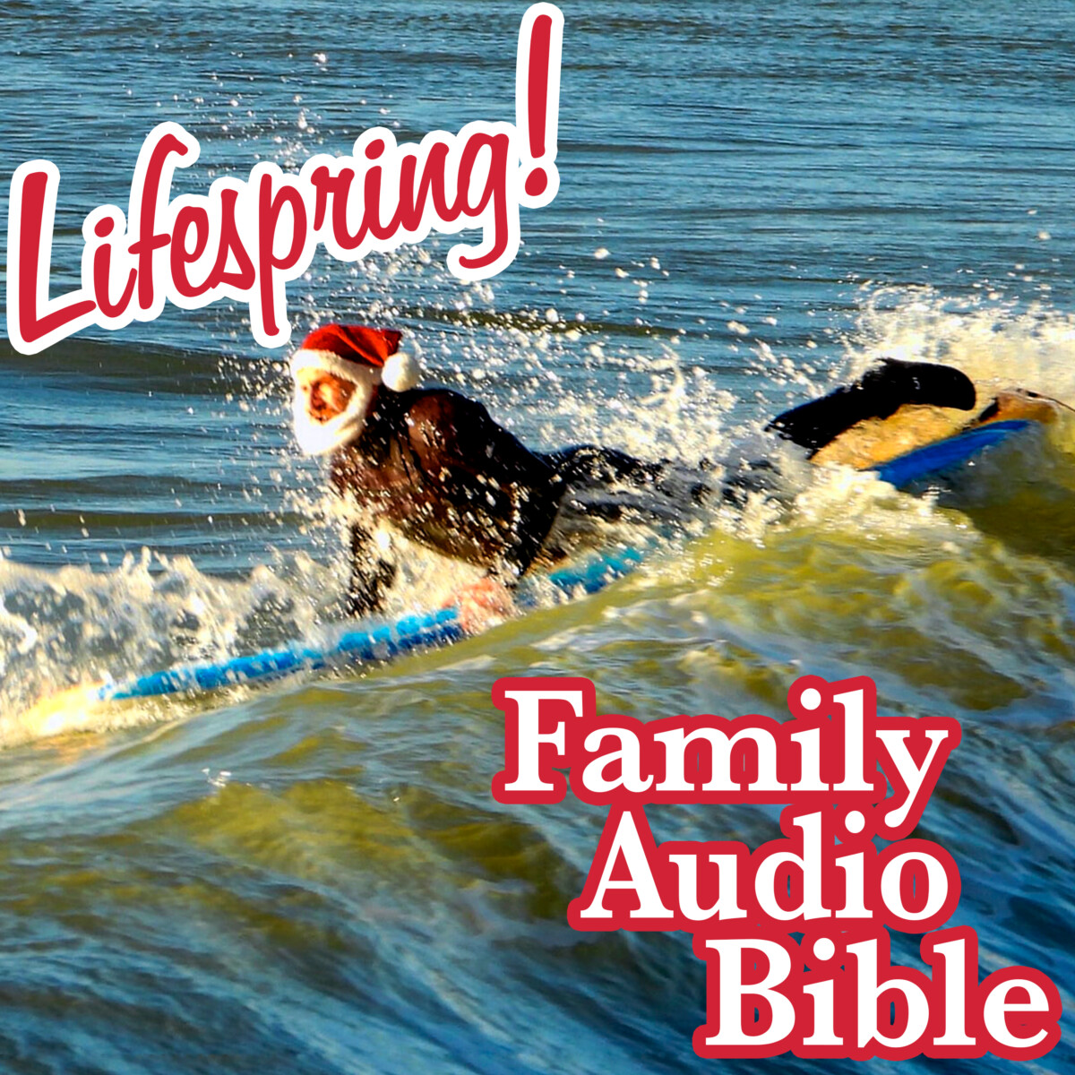 S12E115Art3000-santa clause surfer