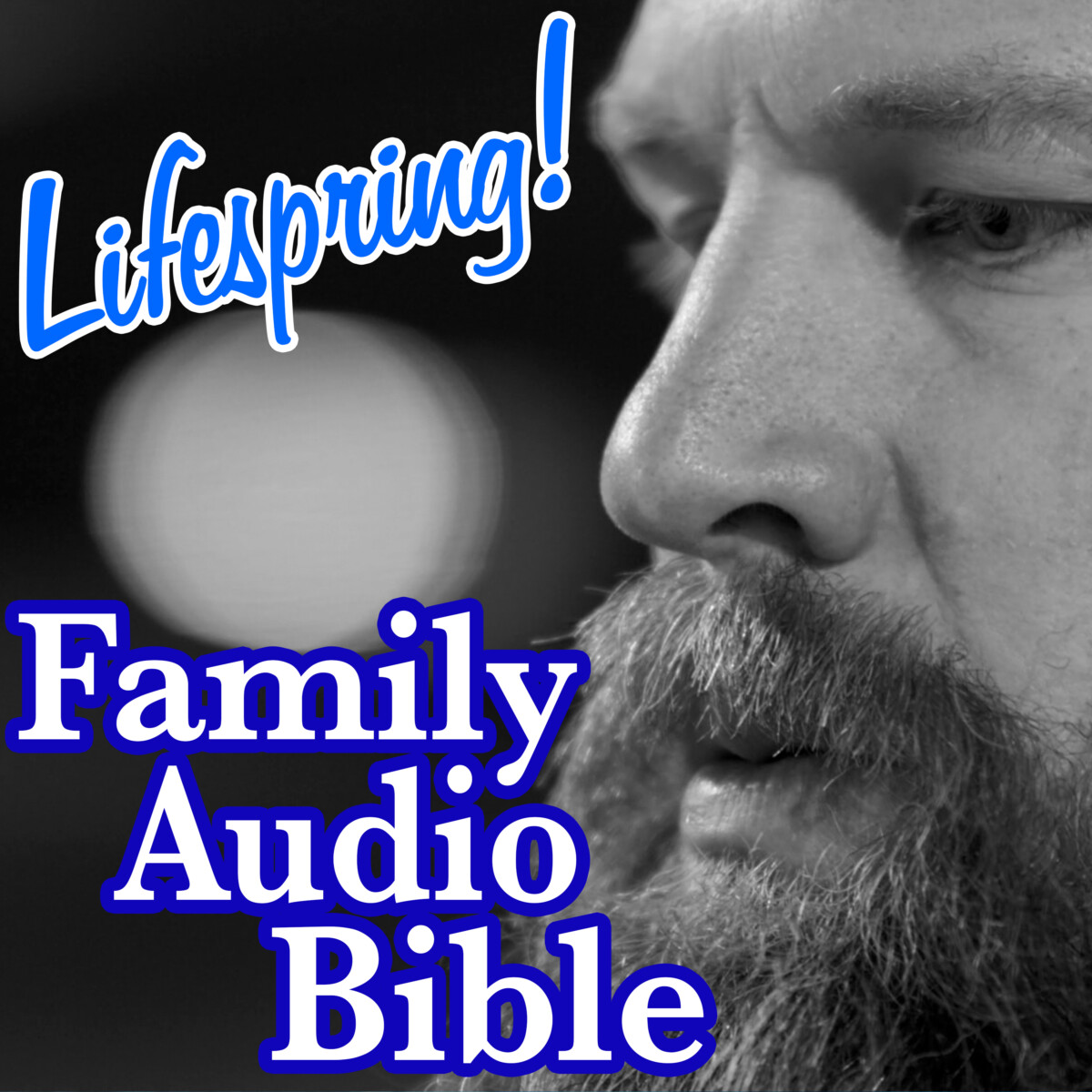 S12E116Art3000-bearded mans face