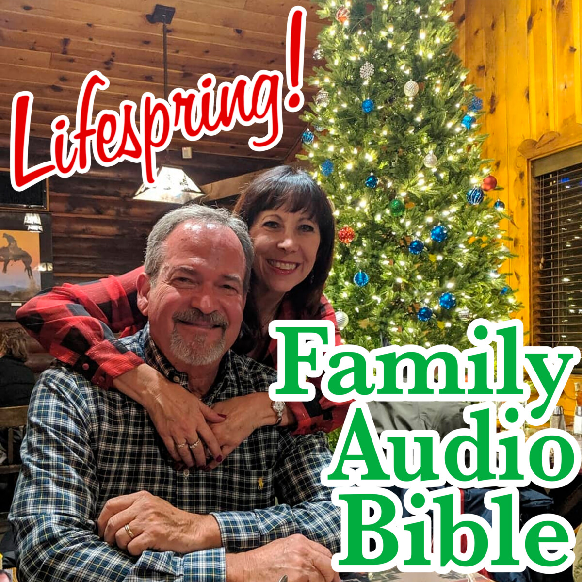 S12E117Art3000-steve and LeeAnn webb with christmas tree