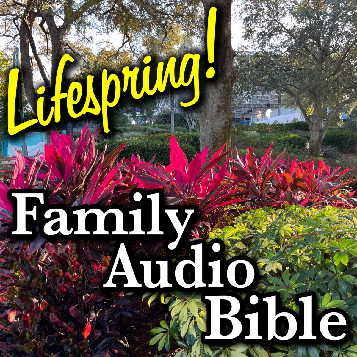 S12E136Art3000-colorful florida plants