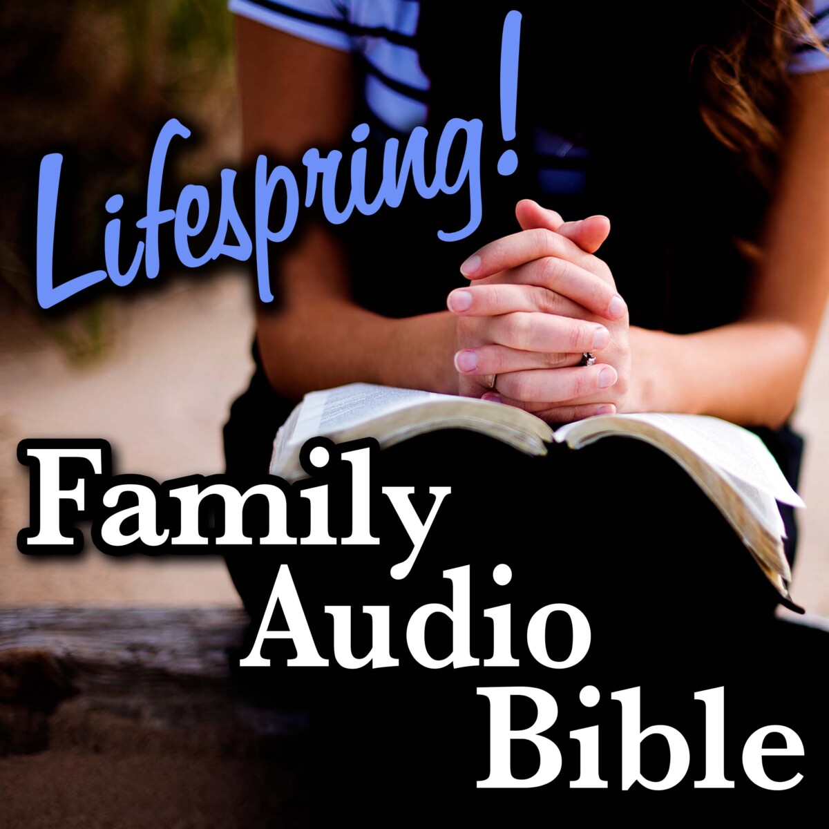 S12E138Art3000-praying with a bible