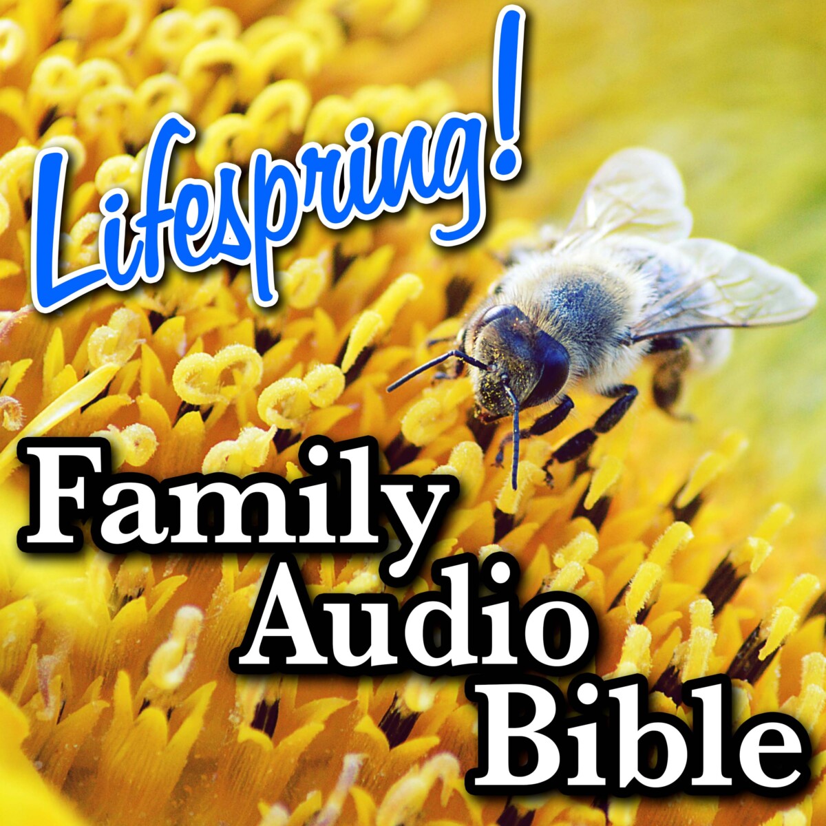 S12E140Art3000-bee on yellow flower