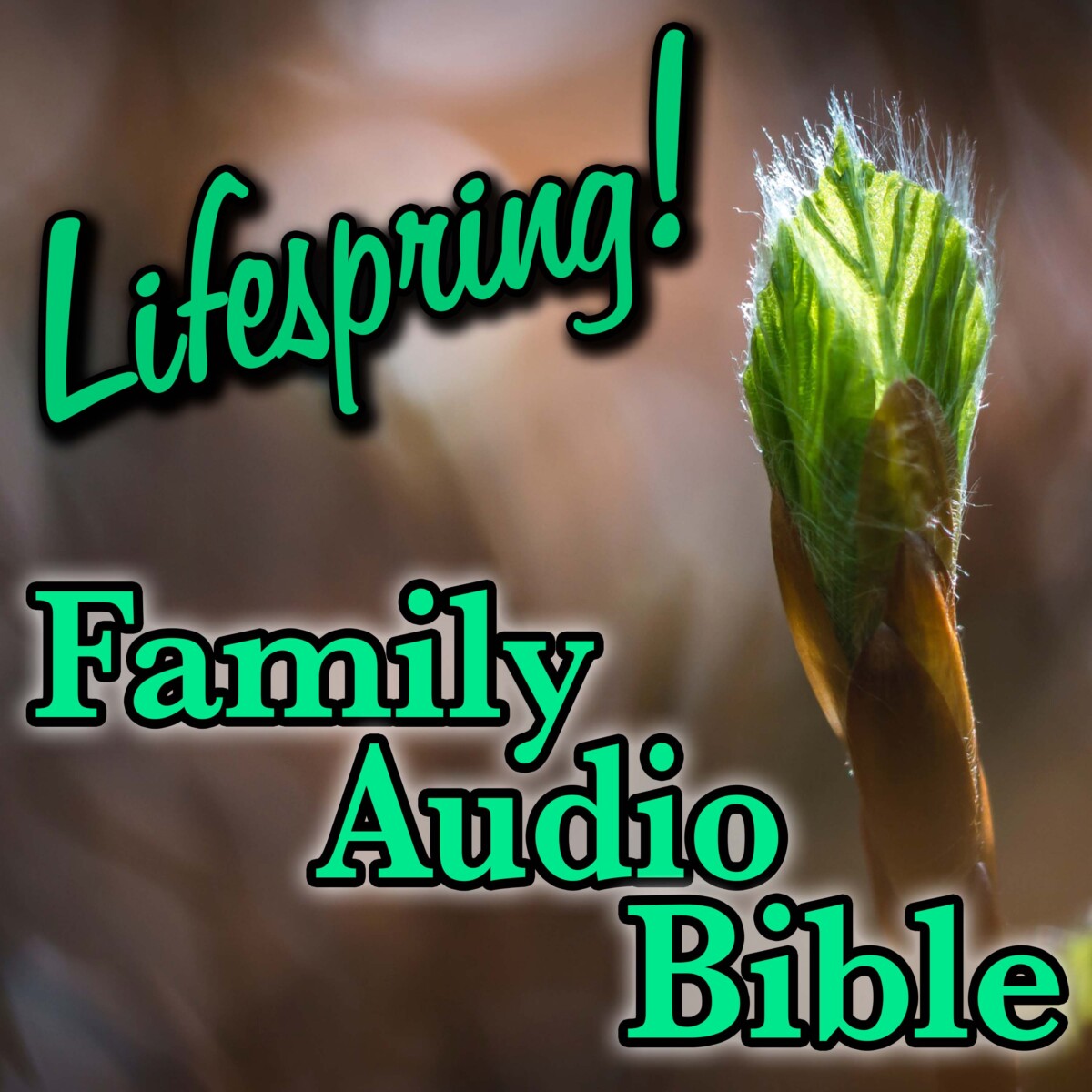 S12E143Art3000-budding plant