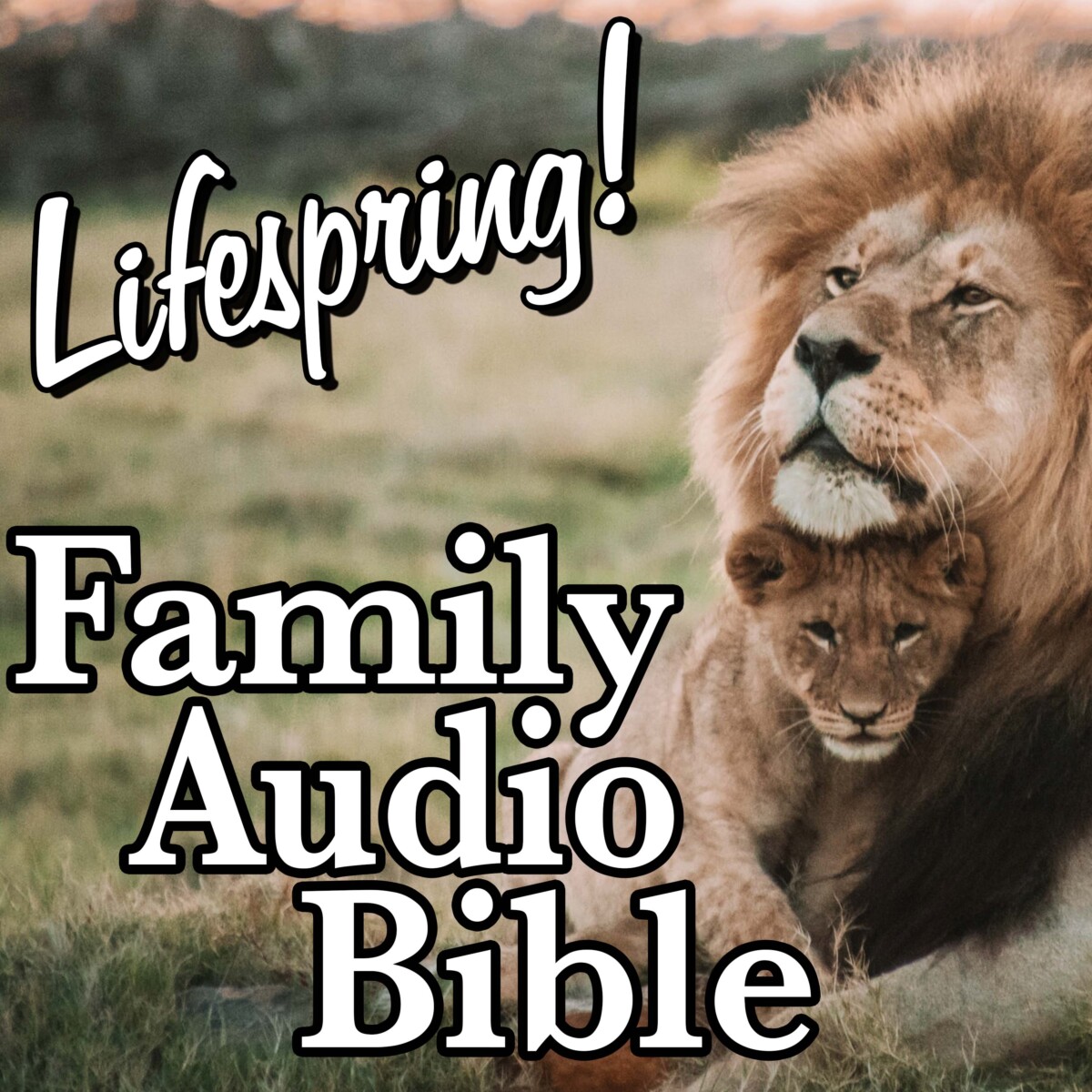 S12E154Art3000-adult male lion with cub