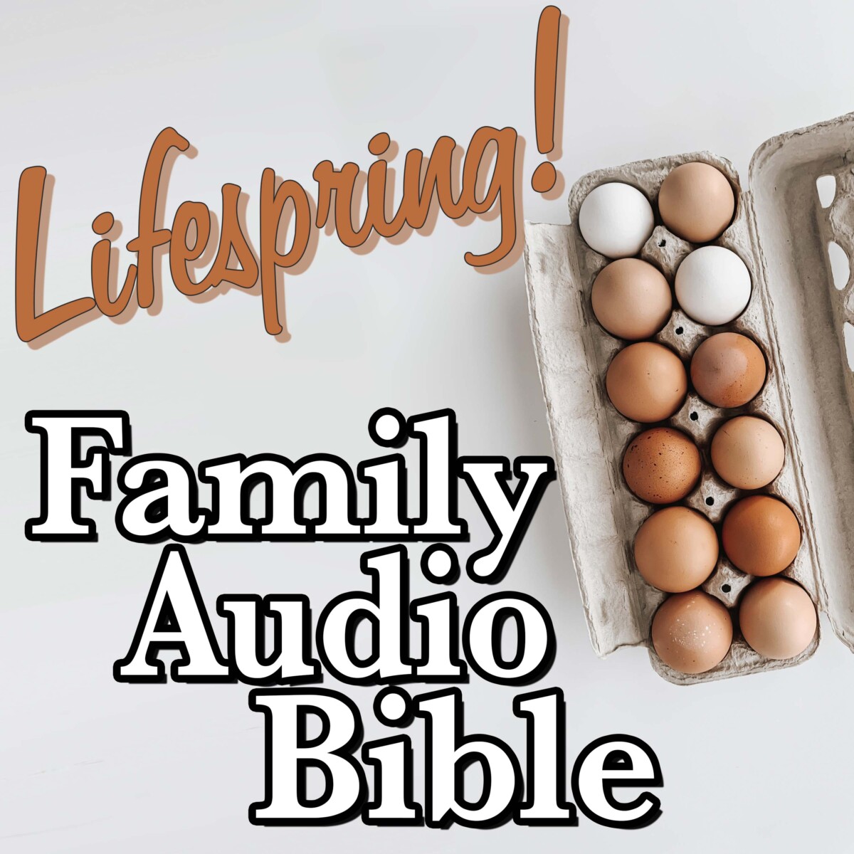 S12E164Art3000-dozen eggs in carton