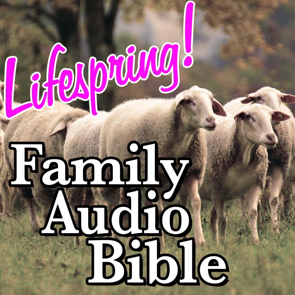 S12E165Art3000-flock of sheep