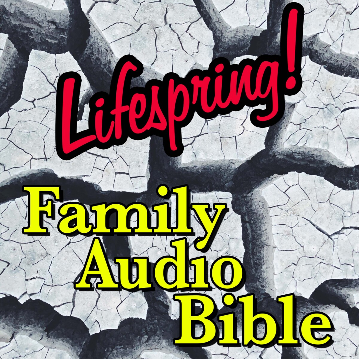 S12E179Art3000-dried cracked mud