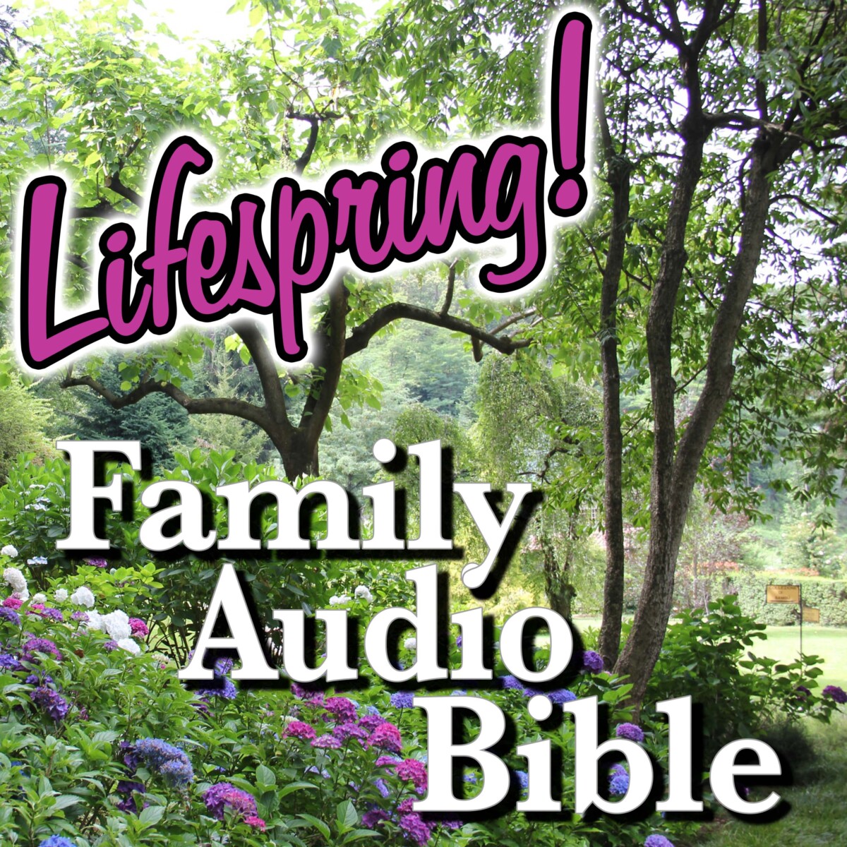 S12E181Art3000-garden