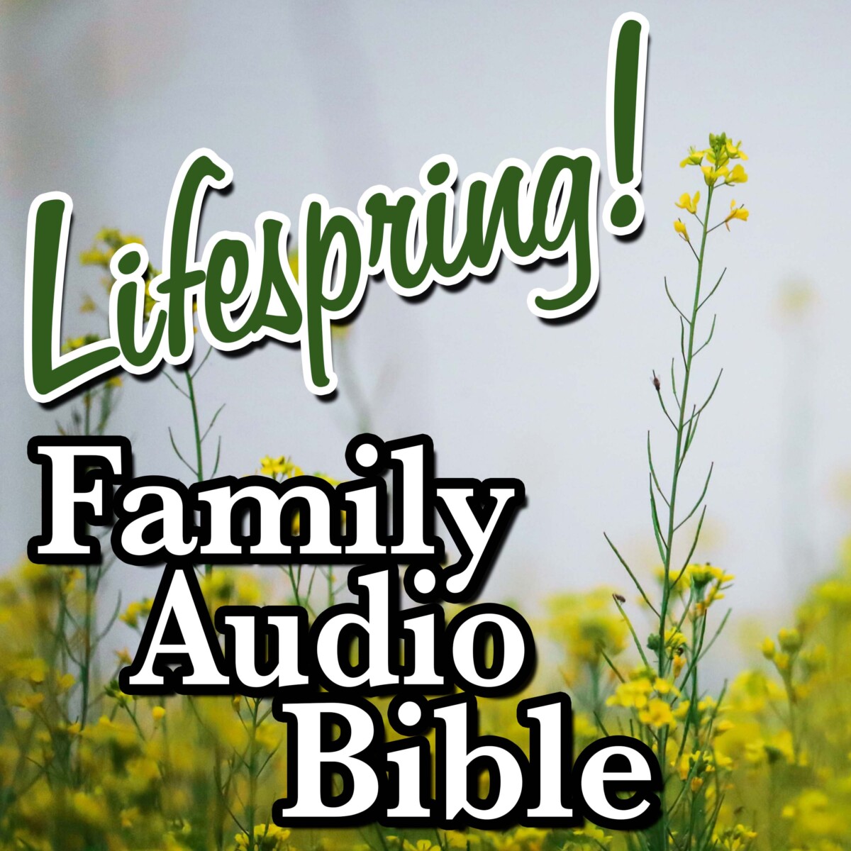 S12E185Art3000-mustard plant