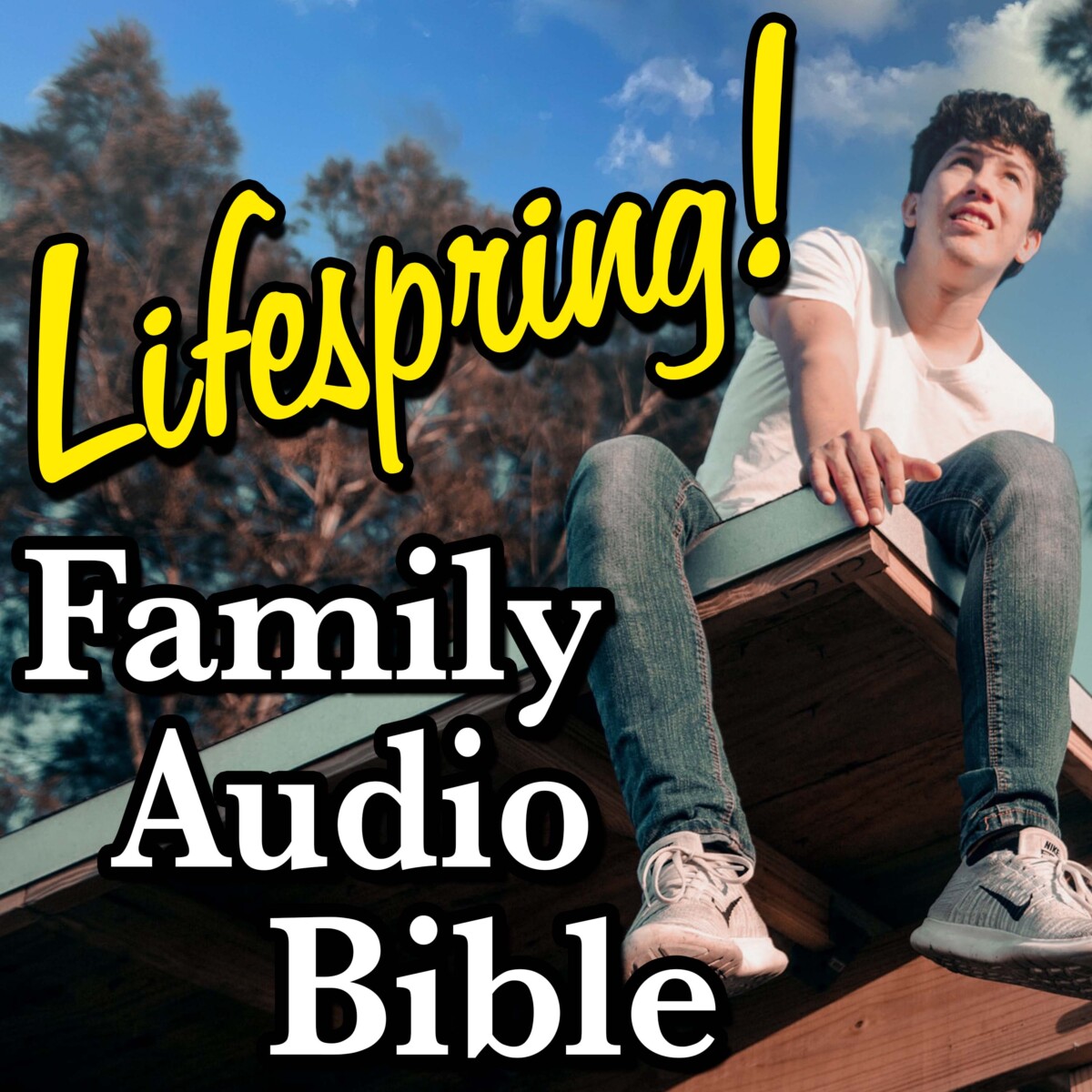 S12E192Art3000-young man sitting on roof