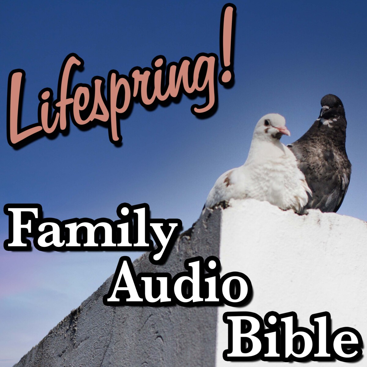 S12E194Art3000-two pigeons