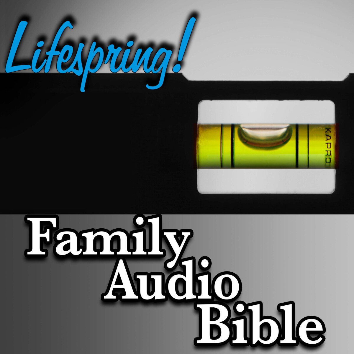 S12E232Art3000-bubble level