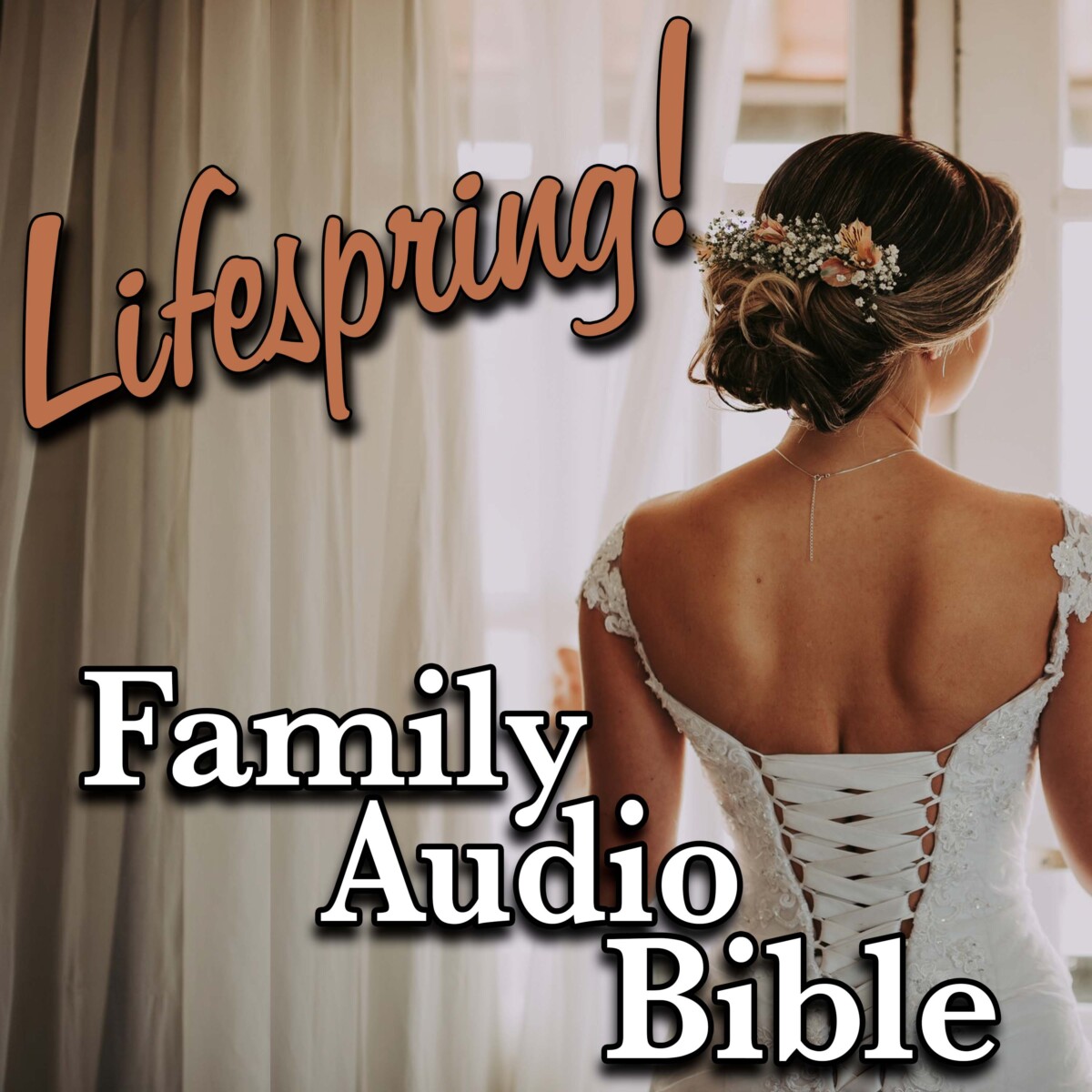 S12E233Art3000-bride looking out window