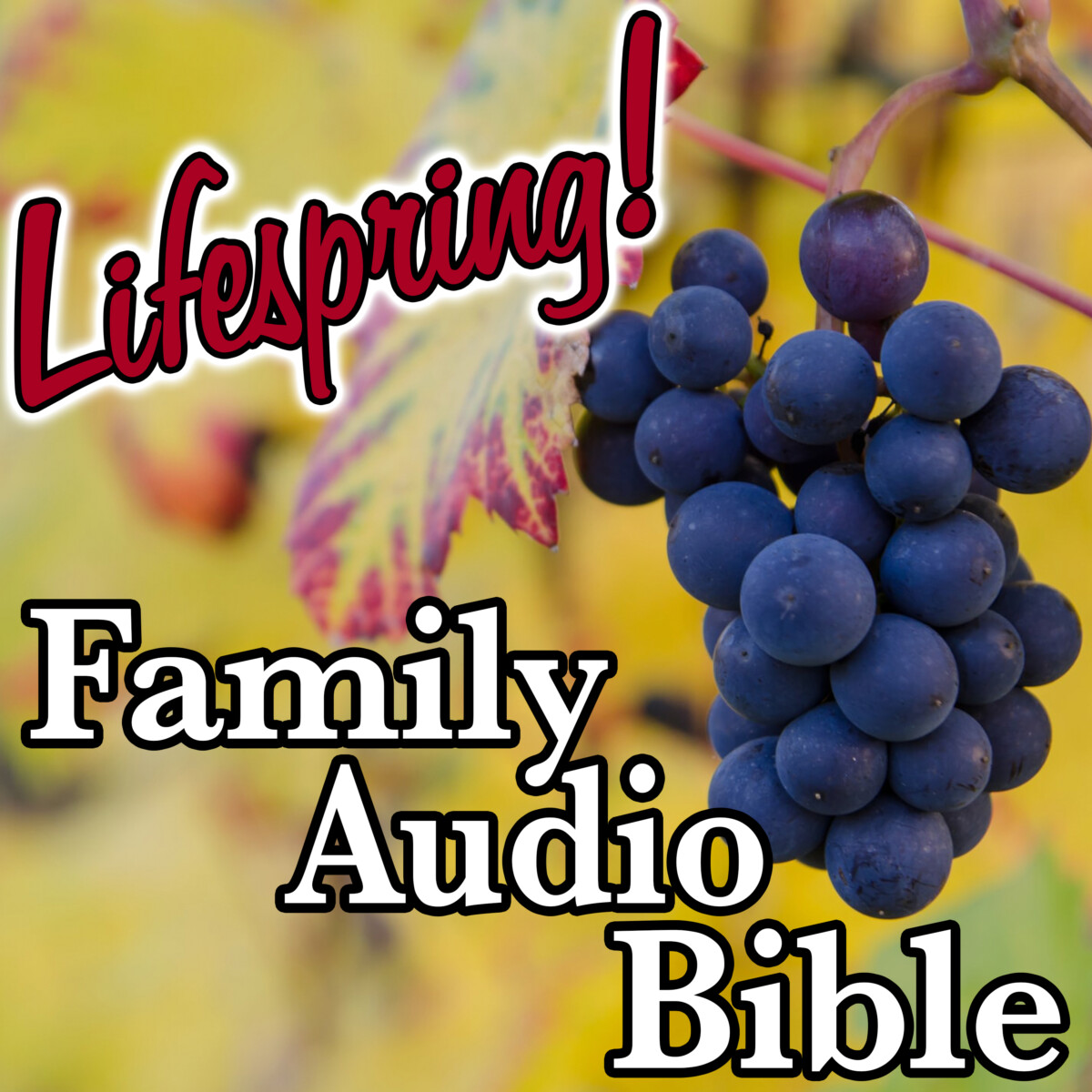 S12E250Art3000-grapes on vine