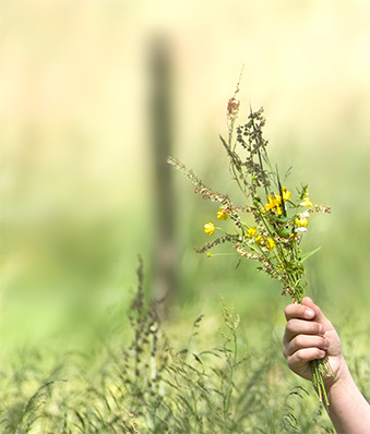 child with flower