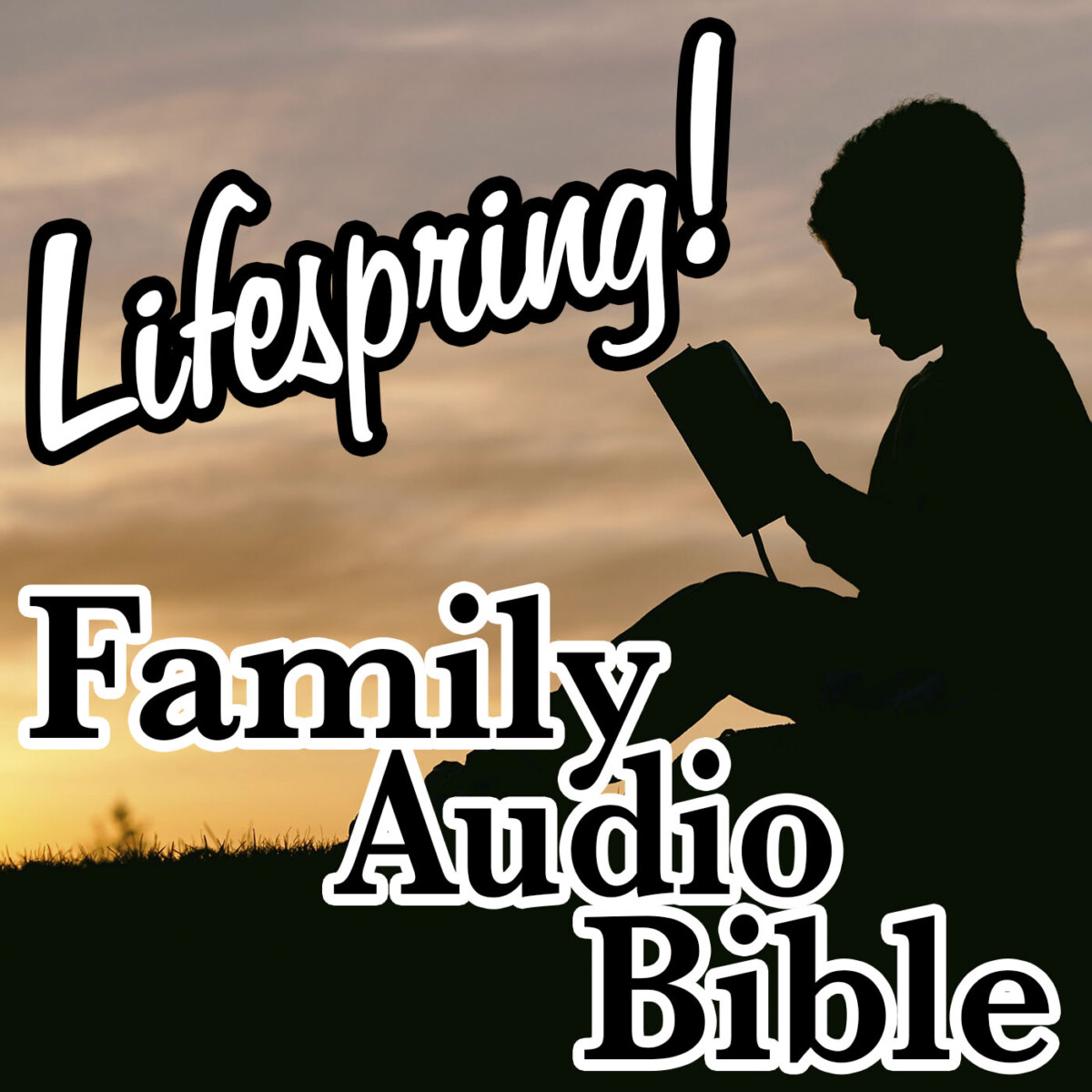 S12E291Art1400-boy reading his bible