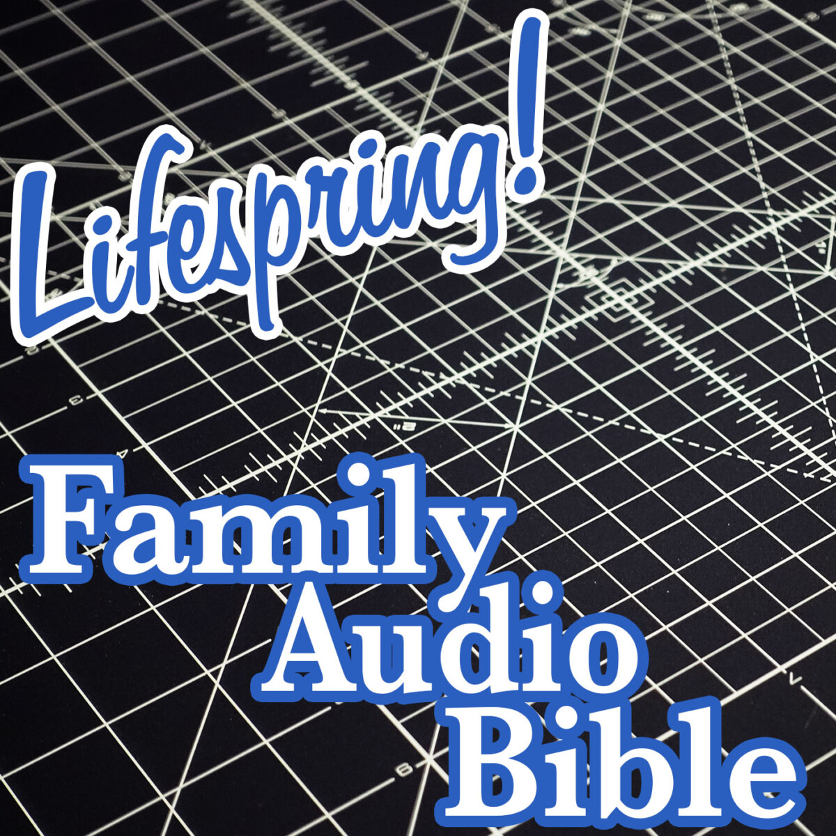 S12E317Art1400-measuring grid