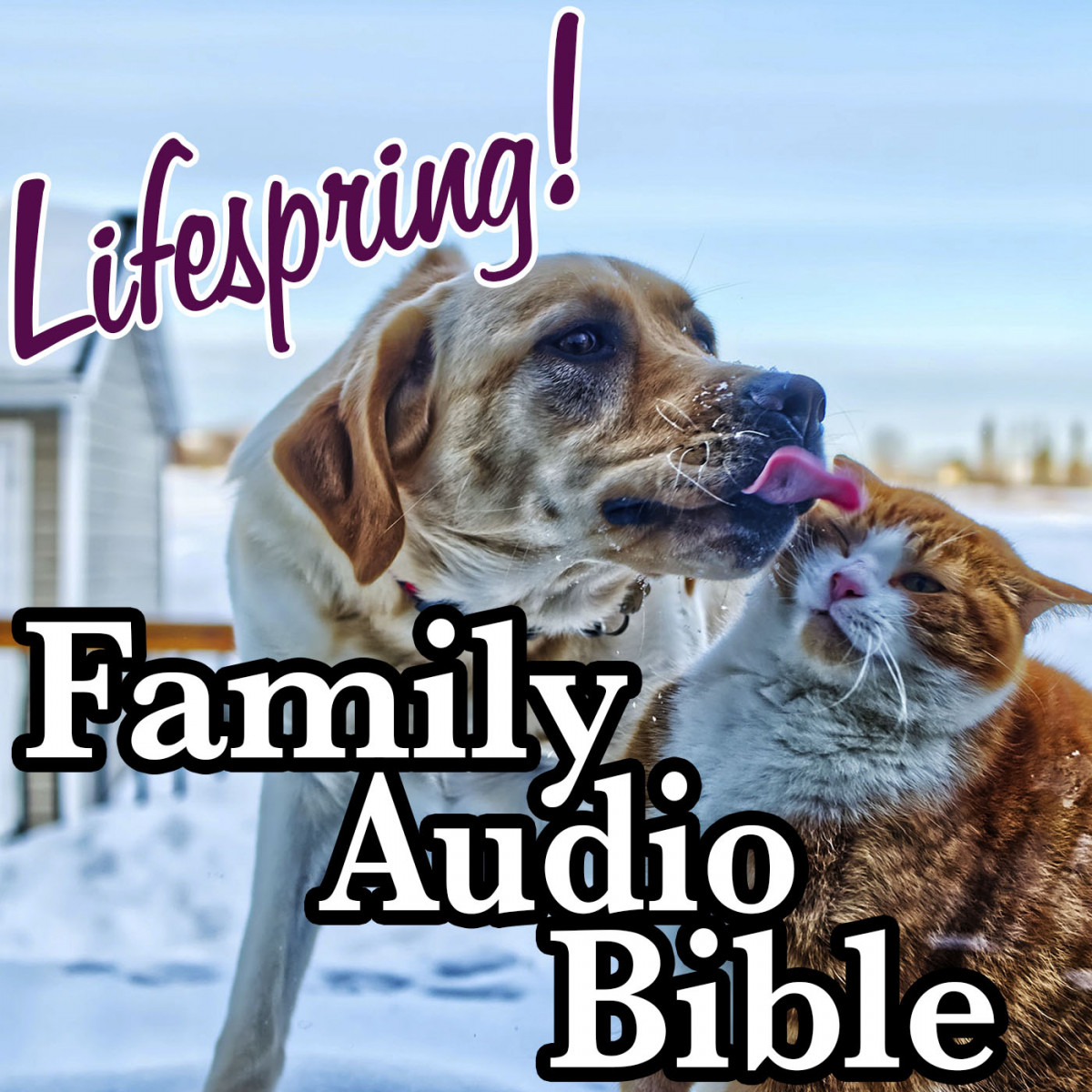 S12E321Art1400-dog and cat