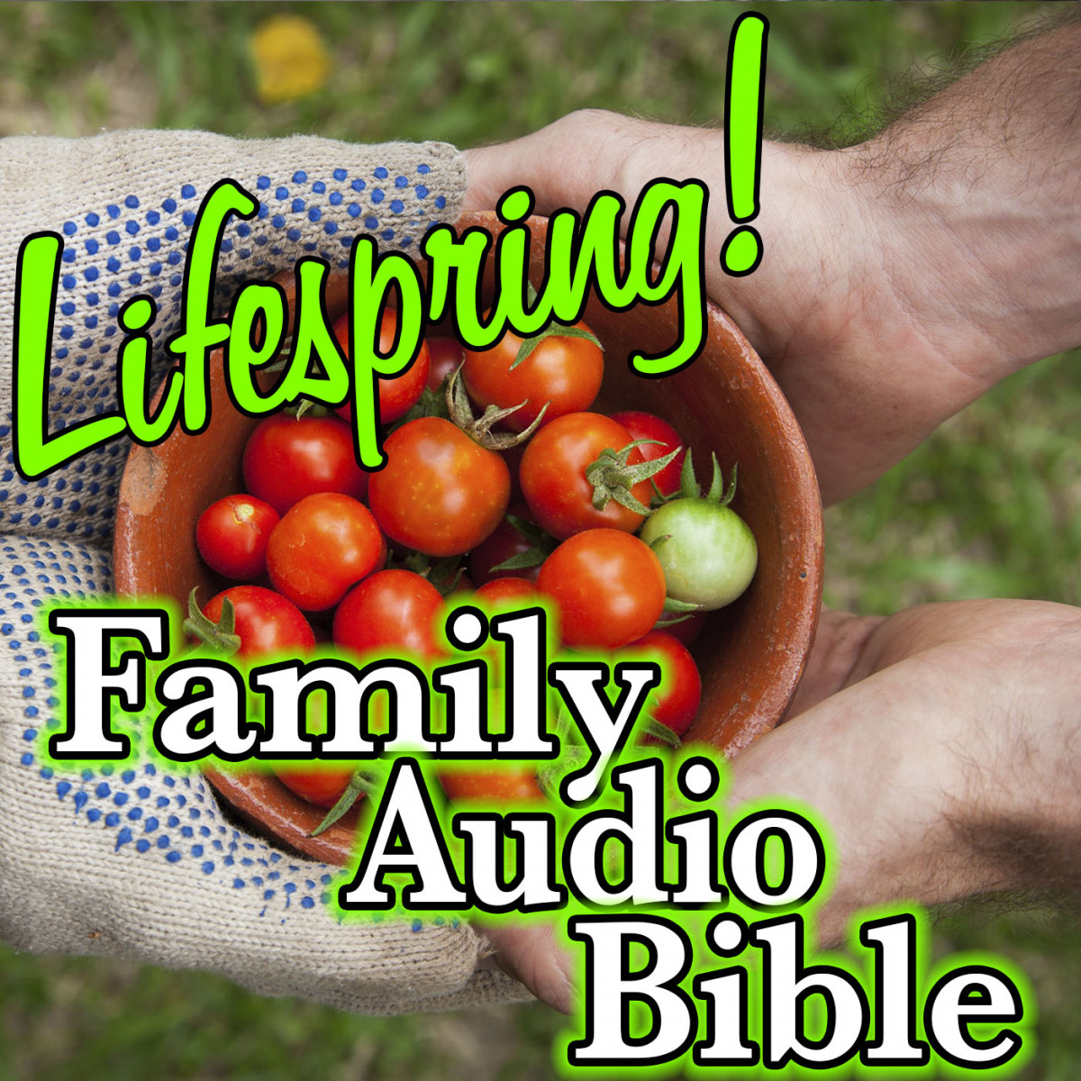 S12E325Art1400-sharing