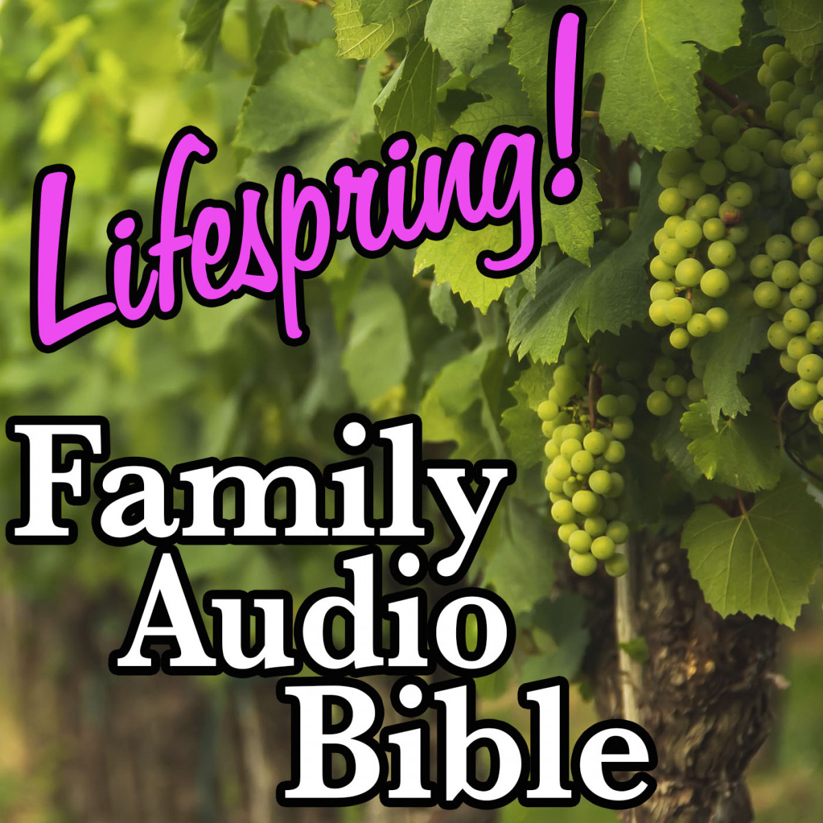 S12E342Art1400-vineyard