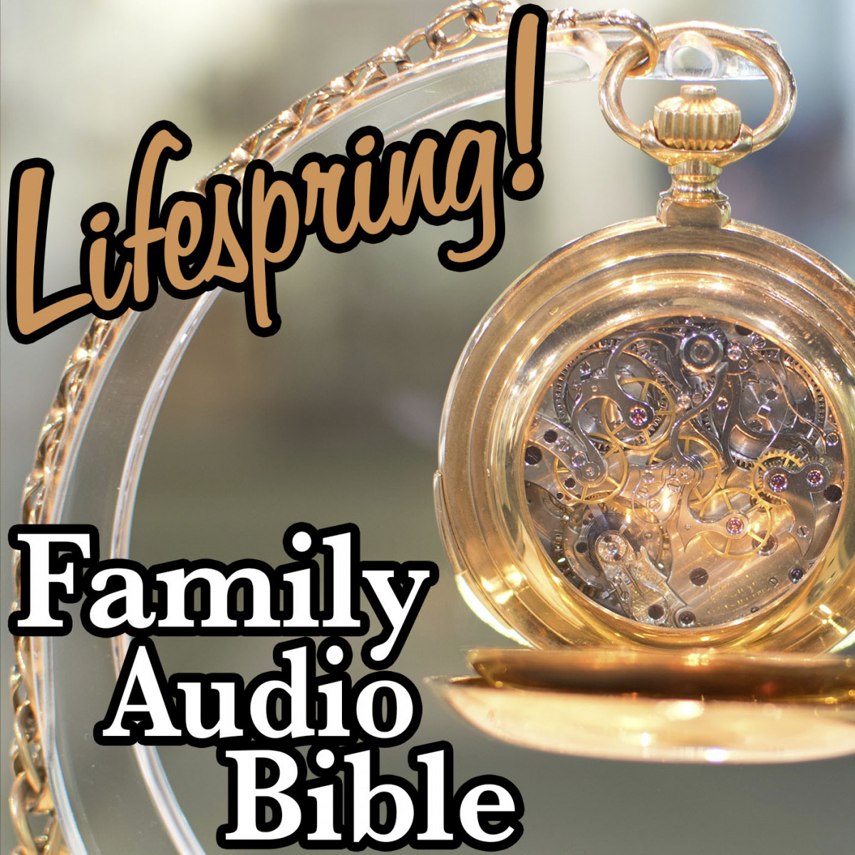 LSFAB_S13-E007-gold watch