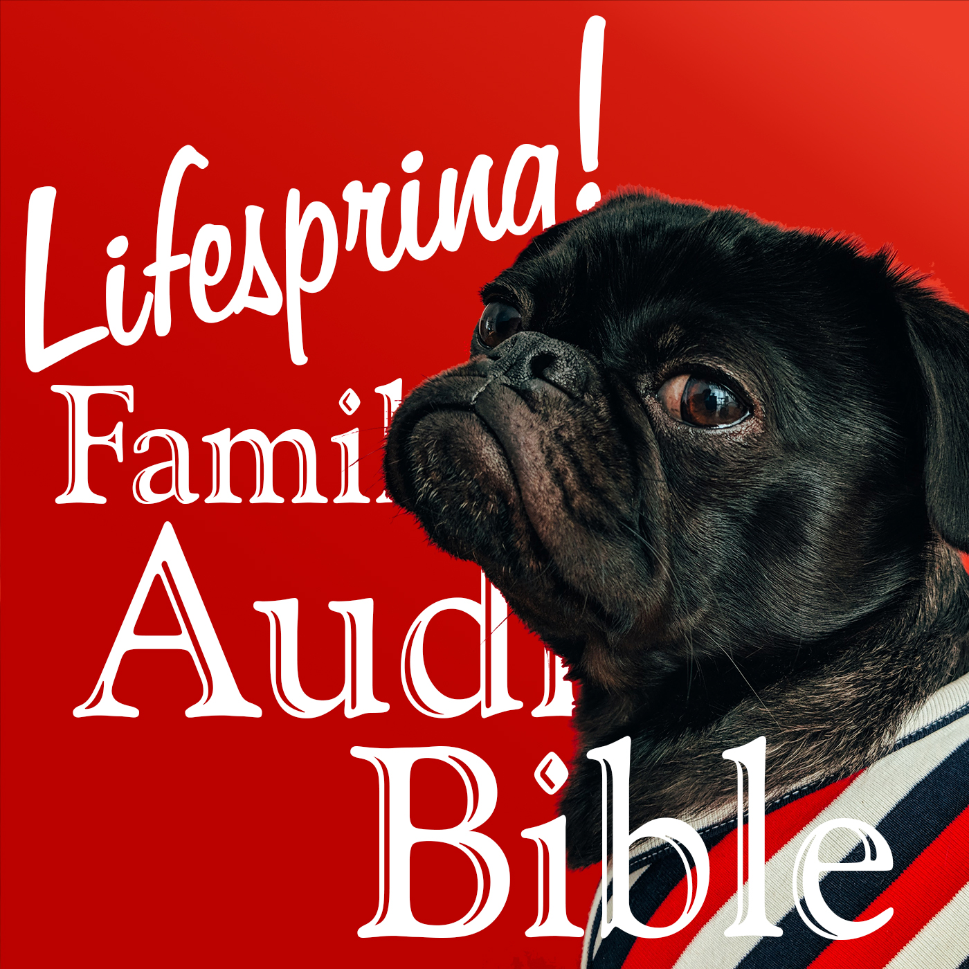 S12E038Art1400-black pug dog