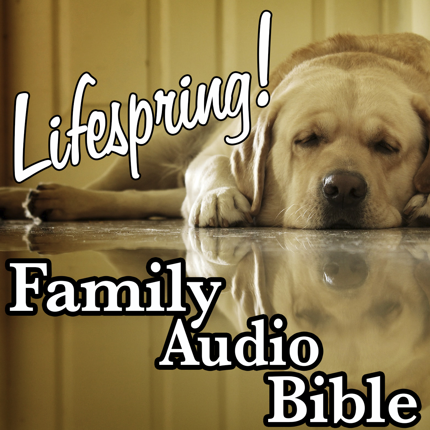 S132E060Art1400-sleeping dog