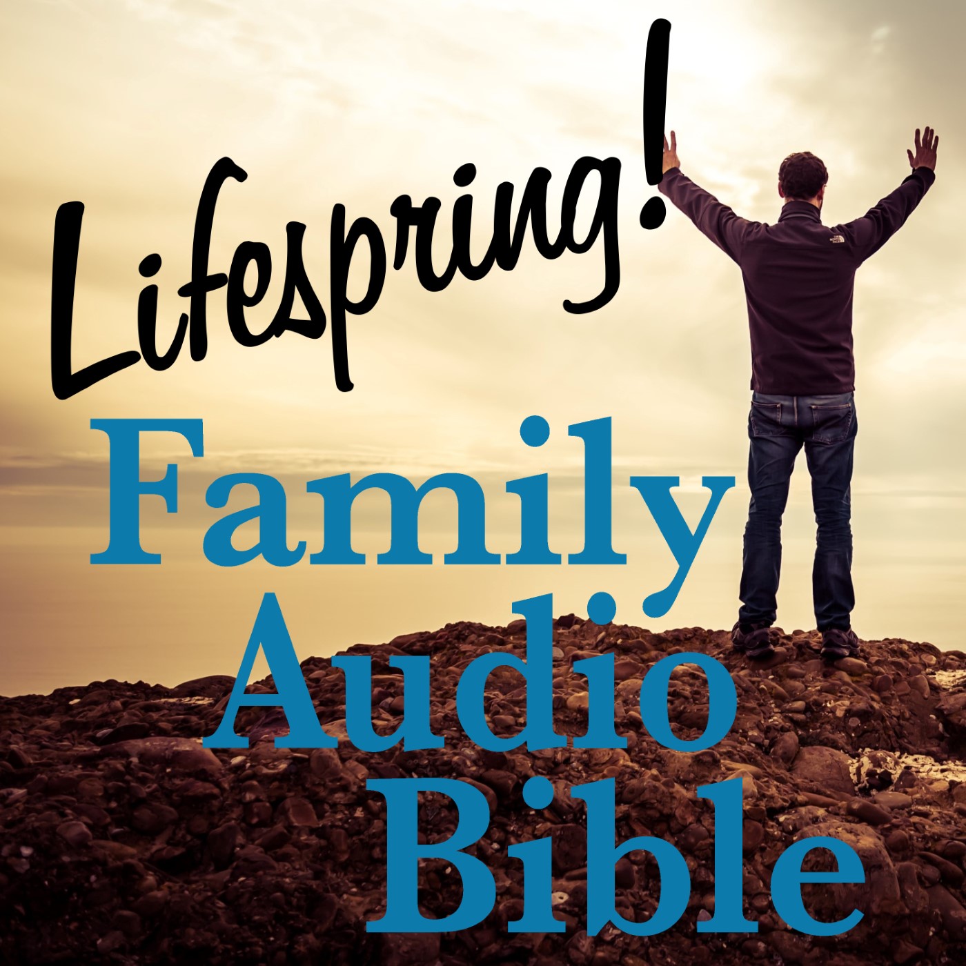 S13E086ArtSWS1400-man on mountaintop with upraised arms