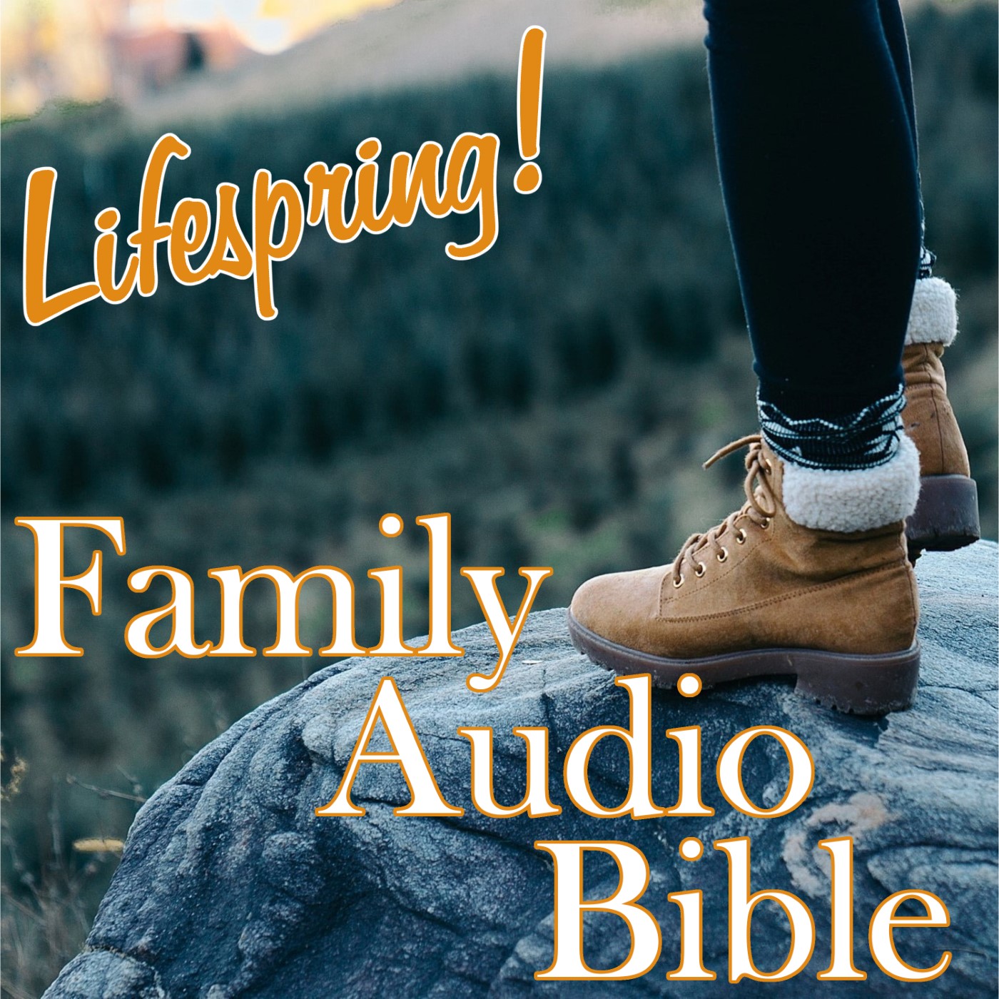 S13E095ArtSWS1400-standing on a rock