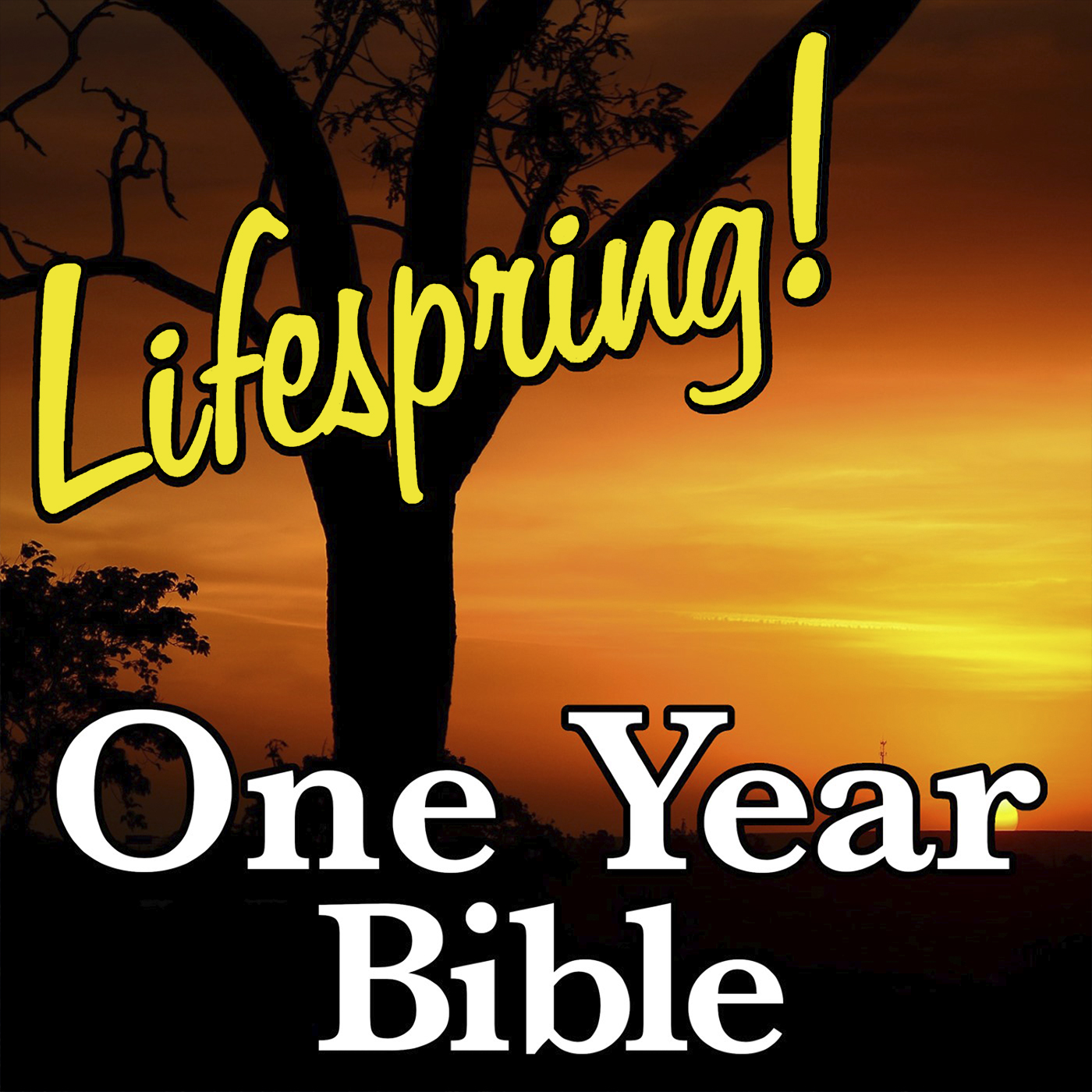 S13E132ArtSWS1400a-tree and sunset