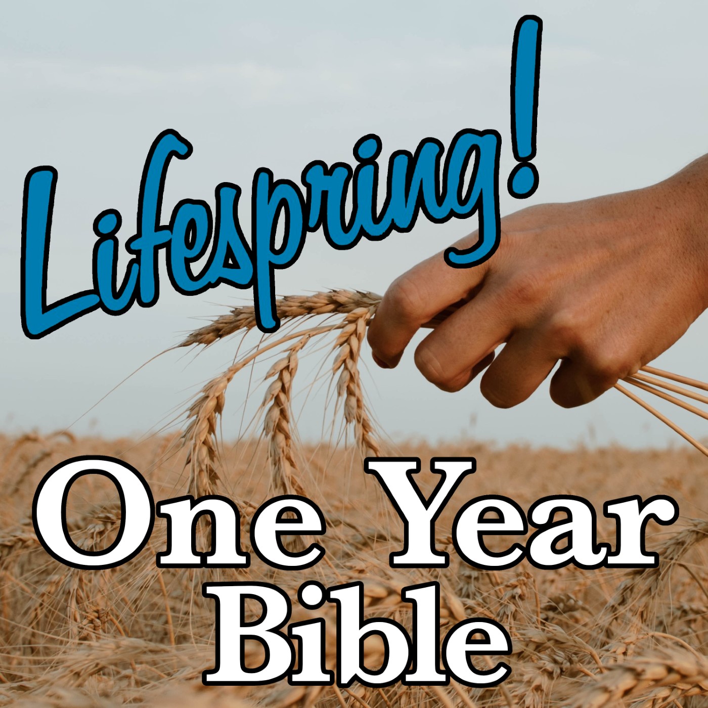 S13E134ArtSWS1400-holding grain in a field