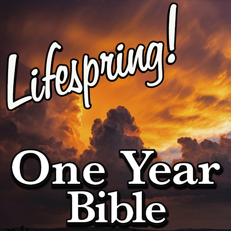 Exodus 37-40: A Picture of Jesus | Lifespring! Media