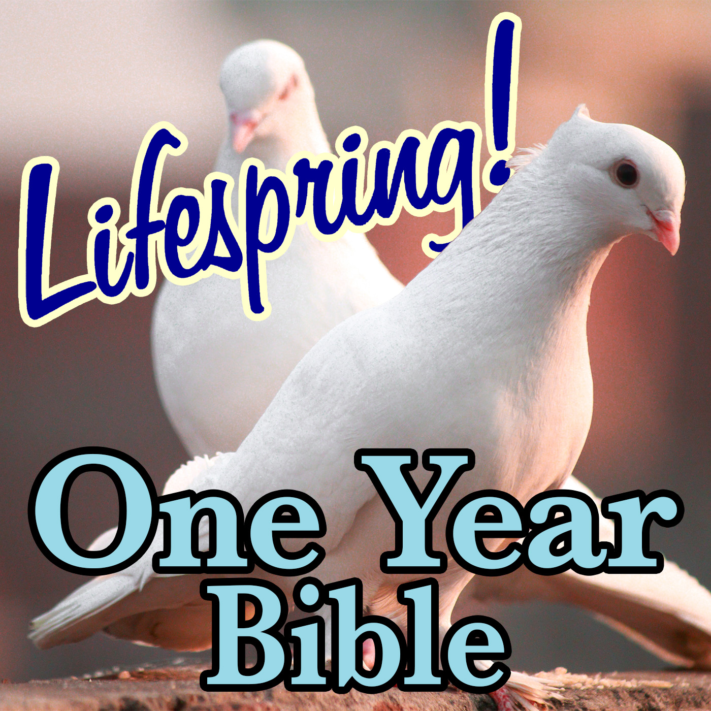 S13E191ArtJLP1400-dove