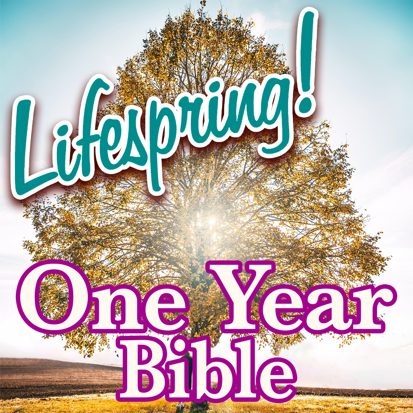 S13E208ArtJLP1400-tree with sunlight shining through leaves