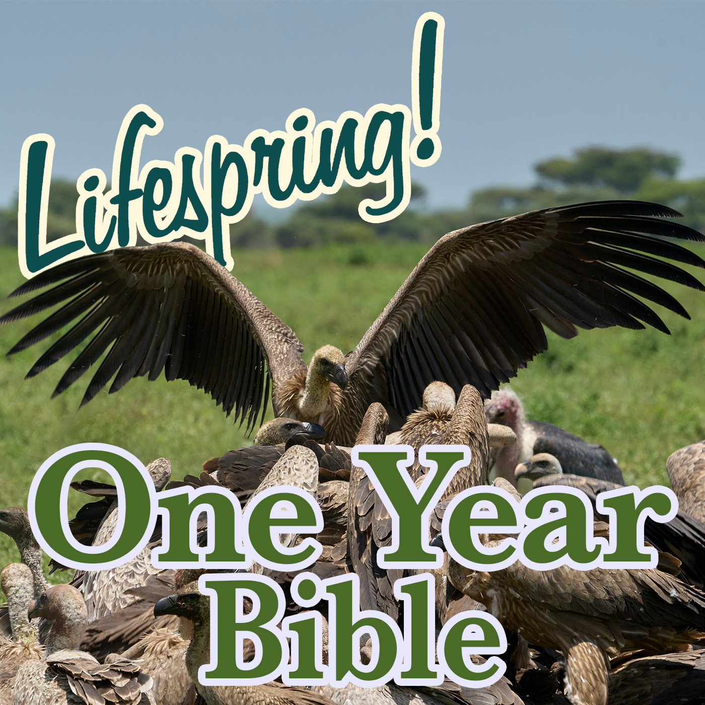 S13E209ArtJLP1400-vultures feeding