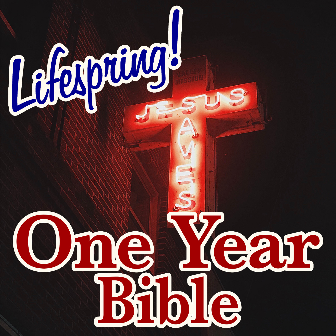 S13E210ArtJLP1400-jesus saves sign