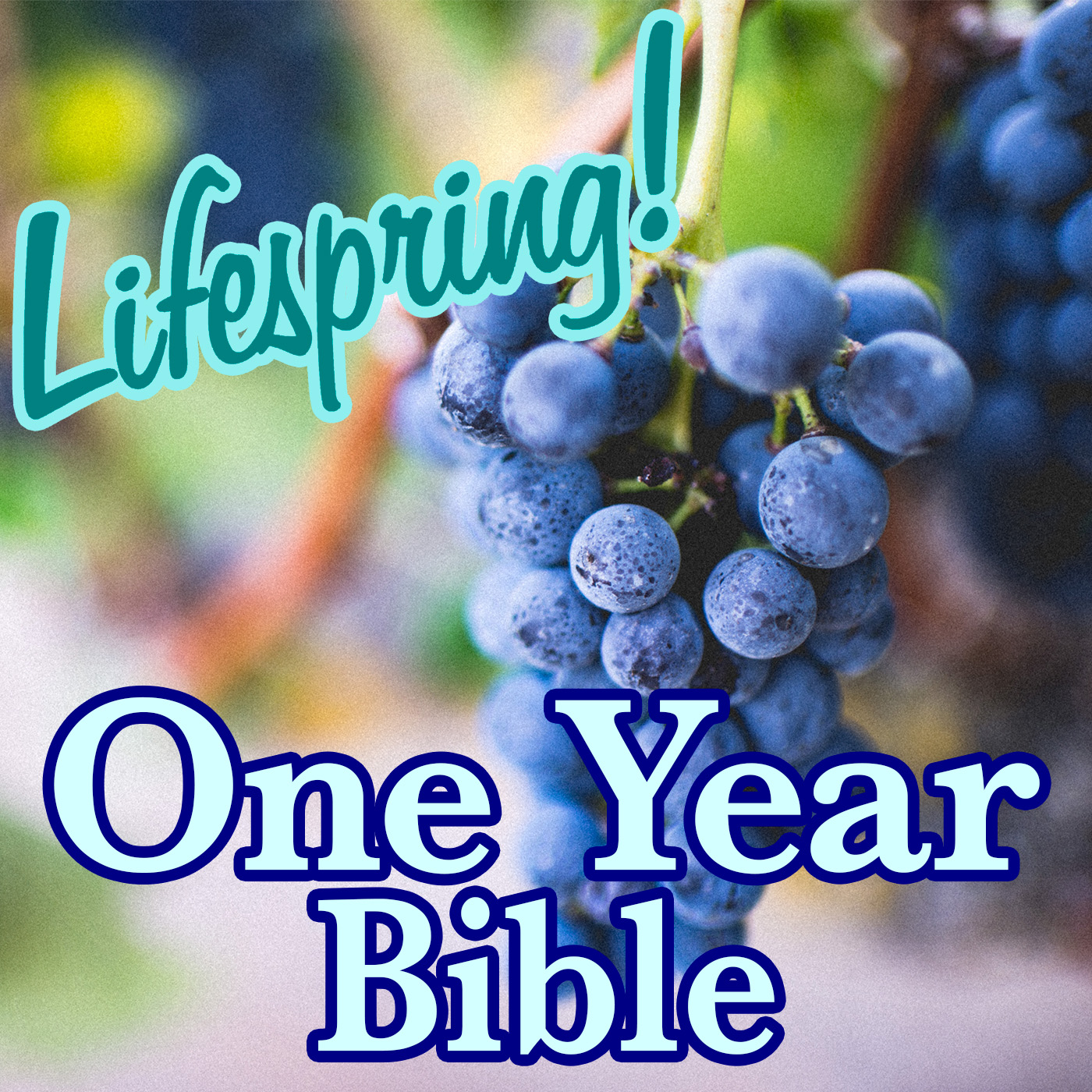 S13E216ArtJLP1400-grapes on the vine