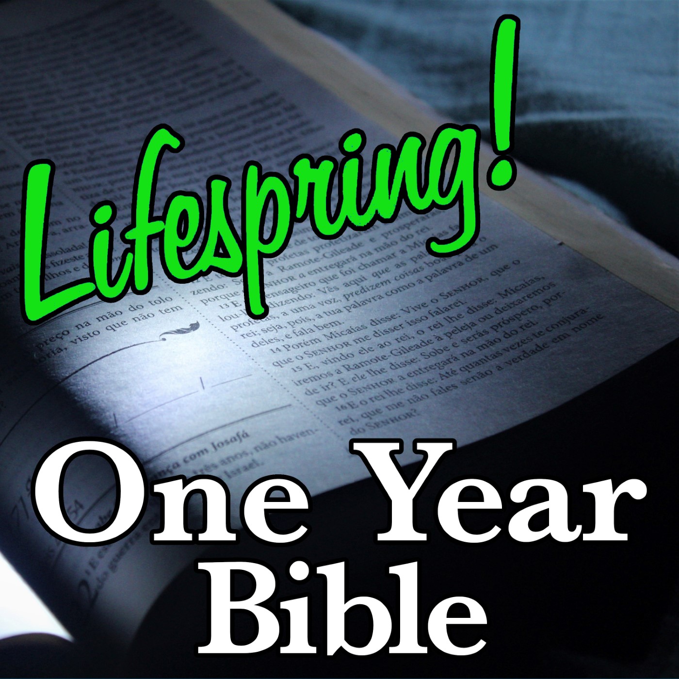 S13E230ArtSW1400-open bible