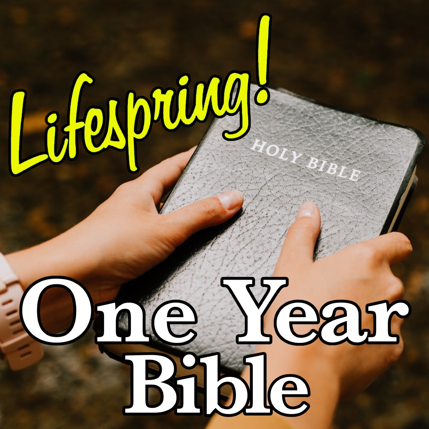 S13E258ArtSWS1400-holding a bible