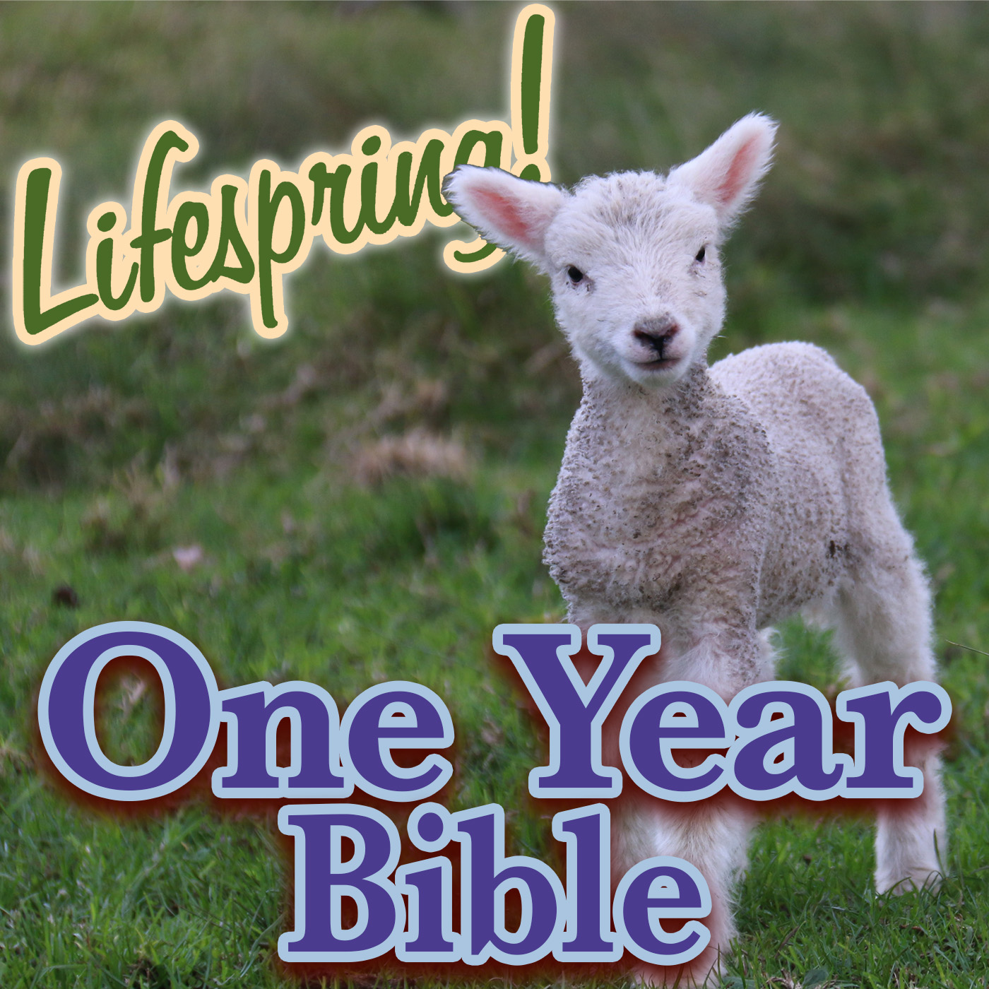 S13E268ArtJLP1400-lamb