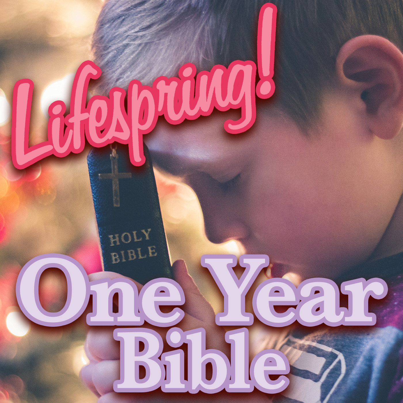S13E288ArtJLP1400-boy with his bible